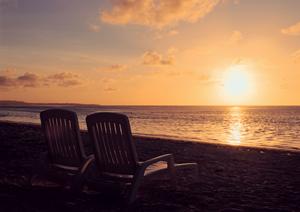 広島市中心部の快適さと便利さが魅力！東横INN広島平和大通の詳細ガイド