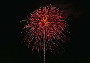 東横INN徳島駅前｜徳島市の便利な立地と快適な宿泊体験を提供するビジネスホテル